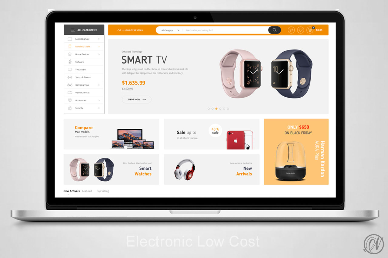 Electronic Low Cost